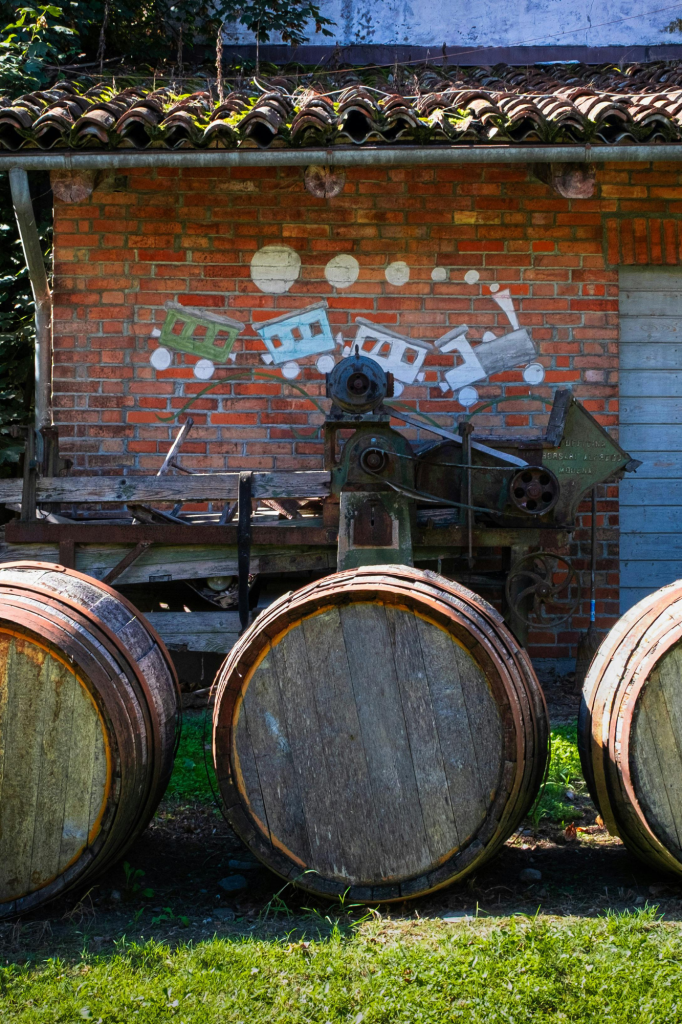 Pourquoi choisir un abri de jardin en brique​